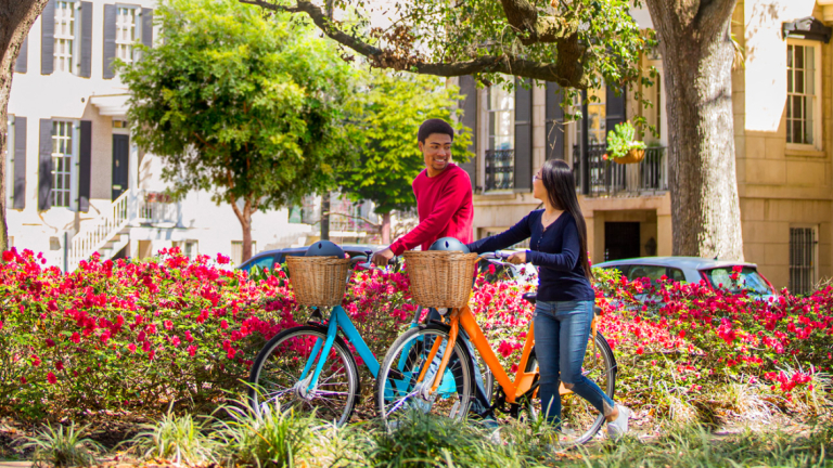 Bikes in a Savannah park