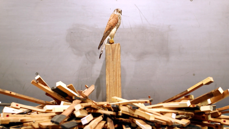 SCAD President Paula Wallace interviews artist Radcliffe Bailey