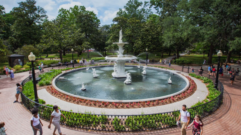 play scad savannah video