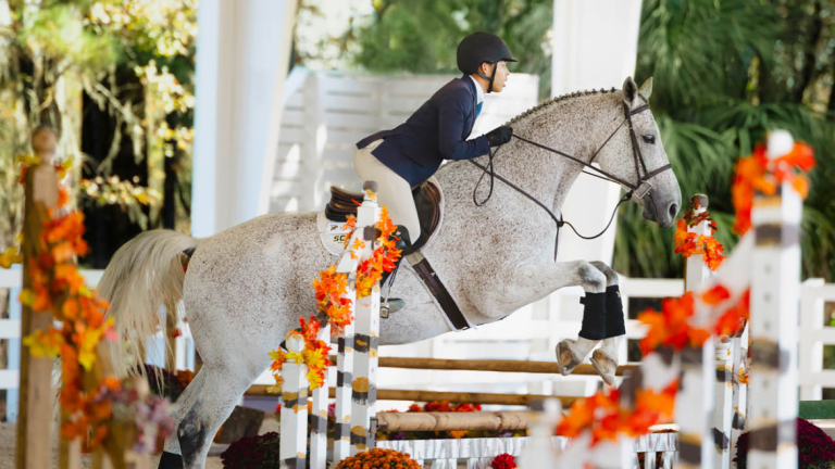 Student rides a white horse beneath a decorated pavilion surrounded by autumn pumpkins and fall foliage.