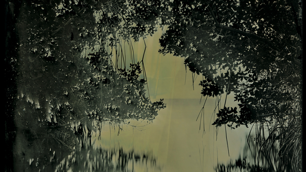 Image from photography students thesis "Where the Light Enters" by Charles McCullers and Cecilia Montalvo