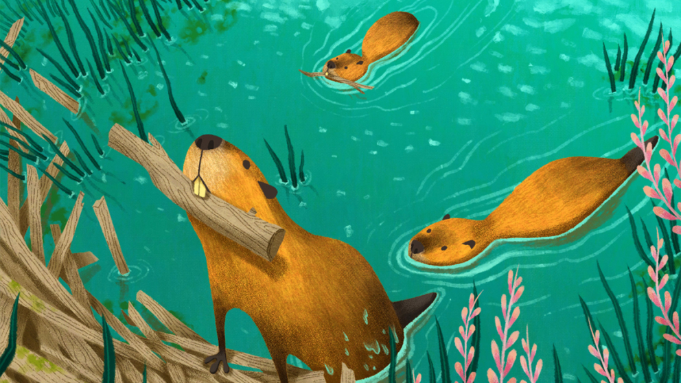 Illustration student work "Tools of the Trade; Beaver" by Alexandra Sibel Badiu