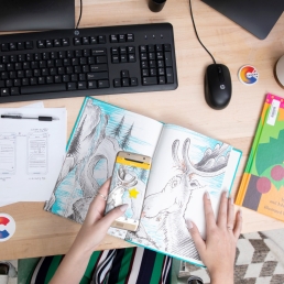 SCAD+ company Chroma_AR
