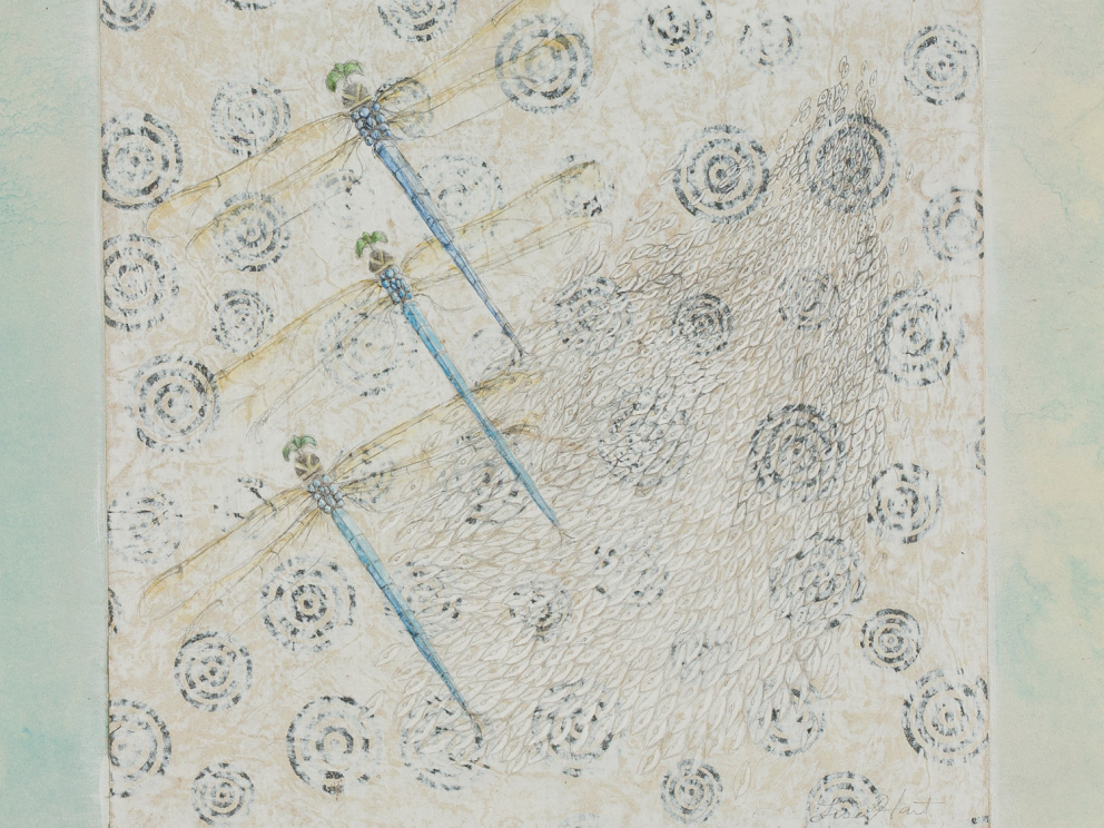 Dragonfly Seeds