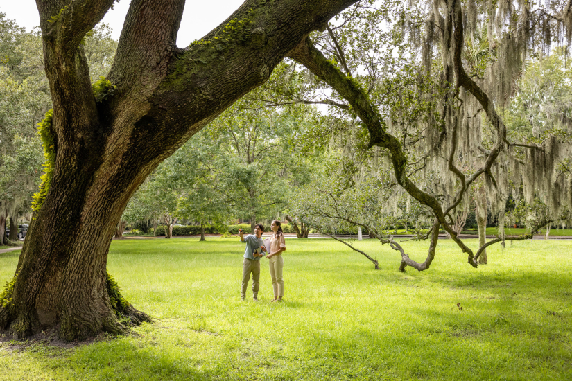 Students study tree canopy as a part of the SCAD Serve initiative Design for Good