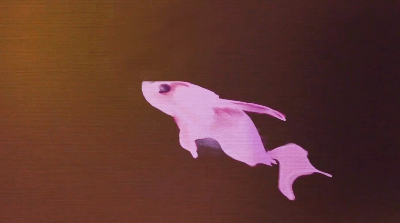 Play motion media design student work "Our Planet" video