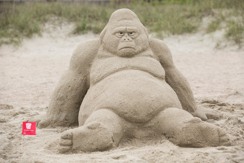 Sand Arts 2014 Alumni Choice Award winner, "Walden"