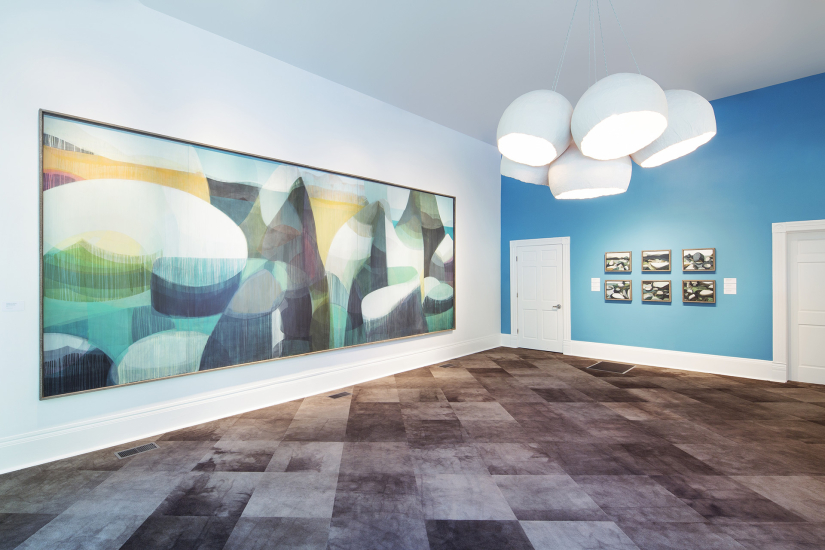 katherine sandoz, "tahoe hybrids" at SCAD's Pinnacle Gallery, 2014.